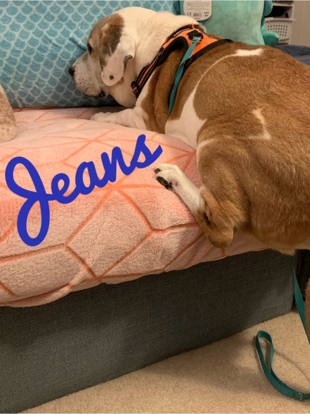 Jeans & pants